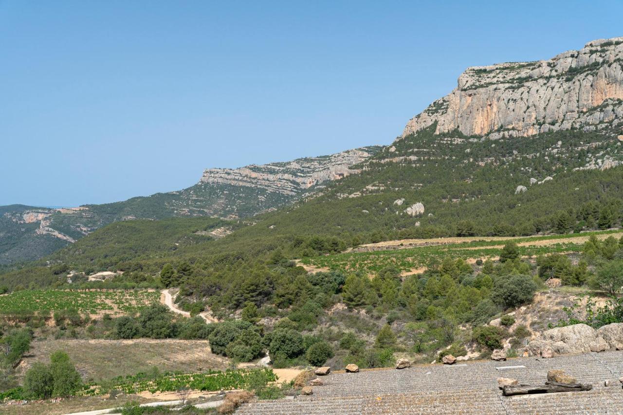 Cal Cosials Villa La Morera de Montsant Dış mekan fotoğraf